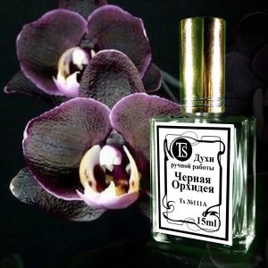 Black Orchid - Черная Орхидея
